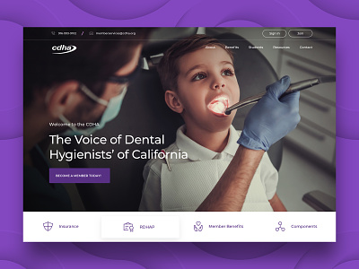 CDHA Website california dentist hero homepage image landingpage purple web design website website design