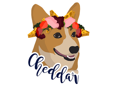 Cheddar The Corgi