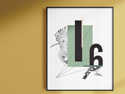 Bird Study animals dribbble graphicdesign illustration posters type typography