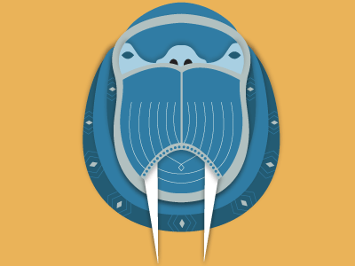 Walrus animal contrast geometric vector walrus