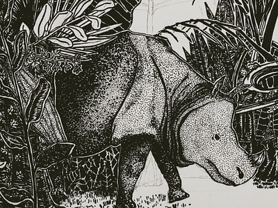 1/ Javan Rhino by Kiki on Dribbble