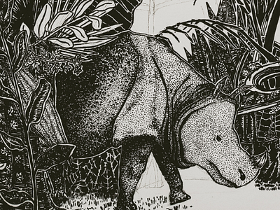1/ Javan Rhino animals blackandwhite endangeredspecies extinct going inkbrush javanrhino sketchbook workinprogress