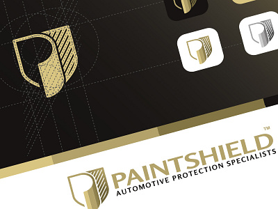 Paintshield