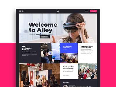 Alley Website