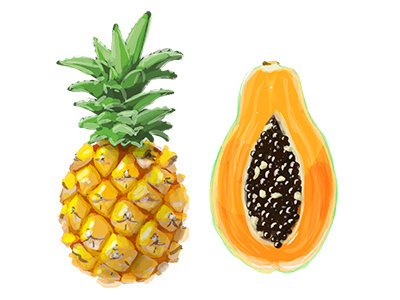Pineapple & Papaia fruits illustrations papaia pineapple