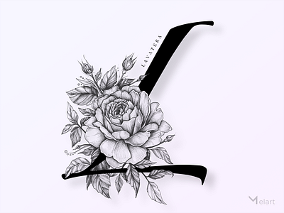 Lavatera. Flower salon. Logo. Monogram branding design dribbble figma flower flower crown flower illustration flower logo flower salon flowers flowershop lavatera lettering logo logotype melart photoshop typography webdesign website