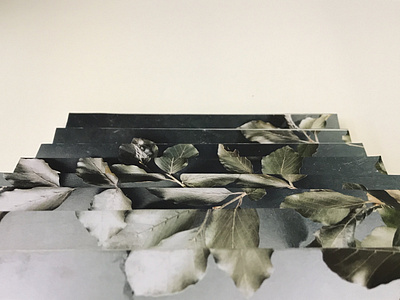 Lenticular .1 collage concept construction lenticular