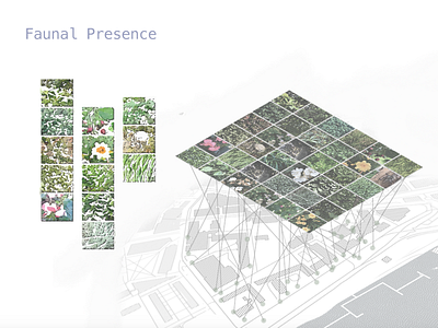 Mapping systems .1 cambridge cartography collage fauna flora gis maps urban design