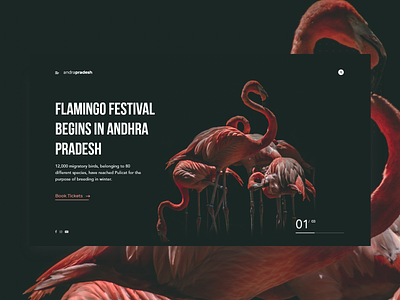Flamingo Festival abstact black clean color concept design flat flatdesign layout minimal typogaphy ui ux web