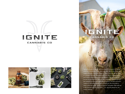 Ignite, Cannabis branding cannabis cannabis logo cannabis packaging clean energy goat goatee goats graphic green icon illustration logo logo of the day logoinspiration logomark minimal symbol typography