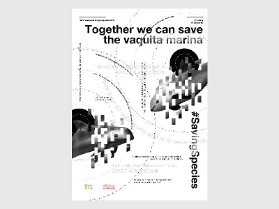 #Saving Species - Vaquita Marina animal helvetica love safe saving animal from extinction student project swiss design vaquita vaquita marina