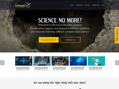 Dmway Website web design wordpress