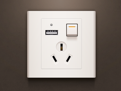 The socket