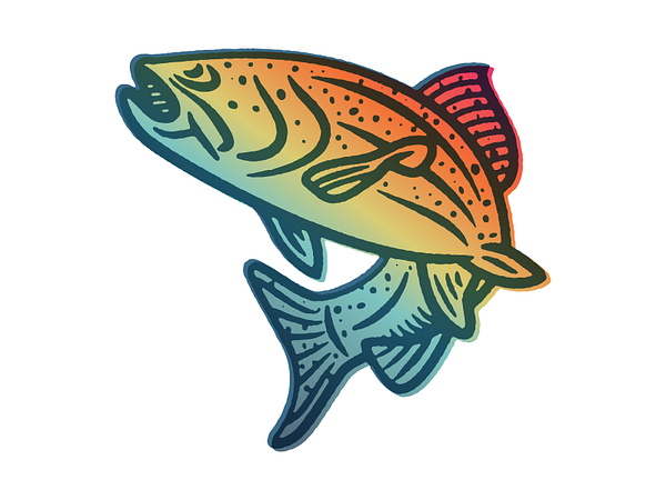 Rainbow Trout designs, themes, templates and downloadable graphic ...
