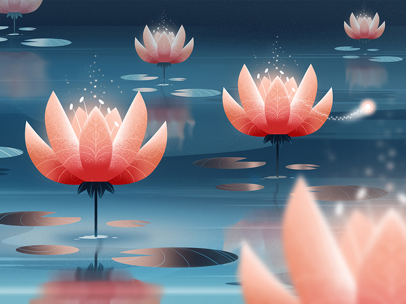 Glowing lilies explainer video 2danimation animation lake mystical magic glow glowing flower water lily water lilies lilies