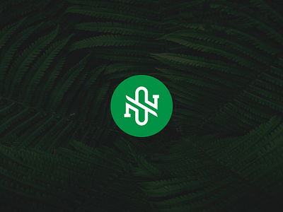 Nature's Source brand brand identity branding concept exploration logo mark minimal simple