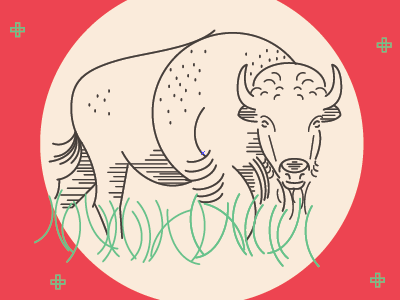 Bison Rehab animal bison drawing editorial illustration linework magazine vector wildlife