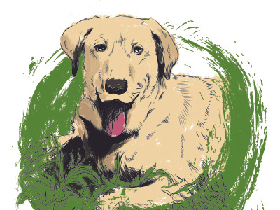 Gus dog drawing illustration memorial pet portrait puppy