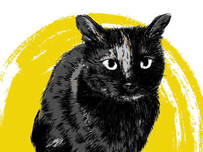 Vegas animal cat drawing illustration pet portrait vector