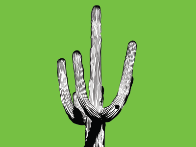 Saguaro animation botanical cactus illustration nature saguaro vector
