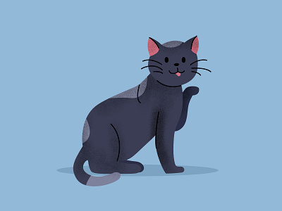 Catto affinity affinitydesigner animal cartoon cat dailyillustration design illustration vector