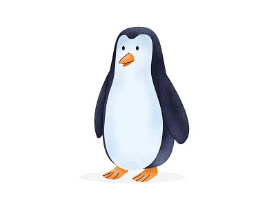 🐧 affinity affinitydesigner animal cartoon design illustration penguin vector