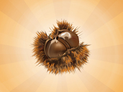 Chestnut vector