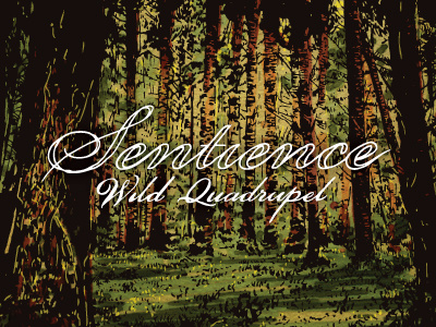 Sentience beer label forest illustration packaging typography watercolor