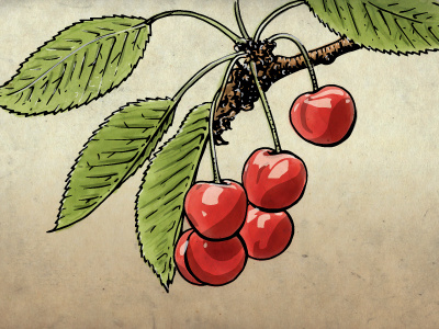 Cherries