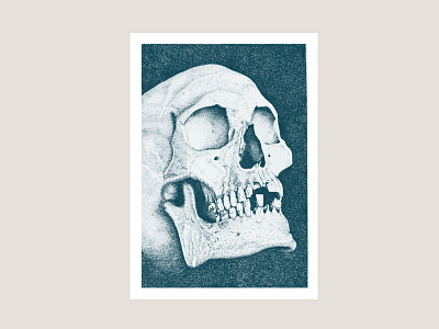 Skull illustration hand drawing illustration pen skull vintage