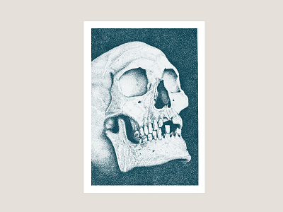 Skull illustration