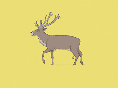 Deer illustration animals book children deer drawing illustration kids photoshop wacom
