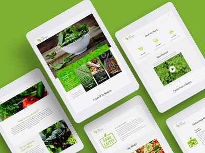 Afro Gourmet Website design ui web design website