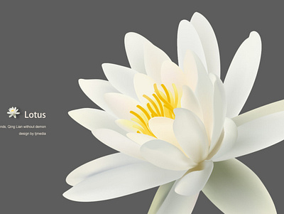 Vector Lotus air china flower illustration design lotus natrue water