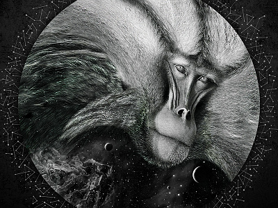 Space Monkey