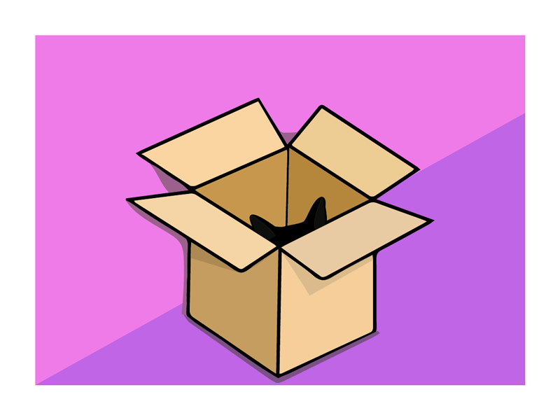 Dribbble catinabox.gif by Jessica Celano