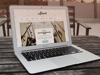 Acacia | Classy & Responsive WordPress Blog Theme