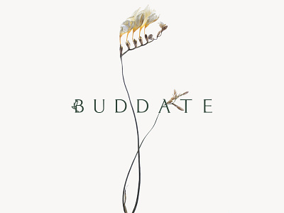 BUDDATE