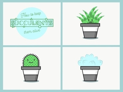 How to keep them alive: succulents cactus life plants succulents wild