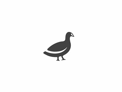 Coot bird branding fimbird logo logodesigner
