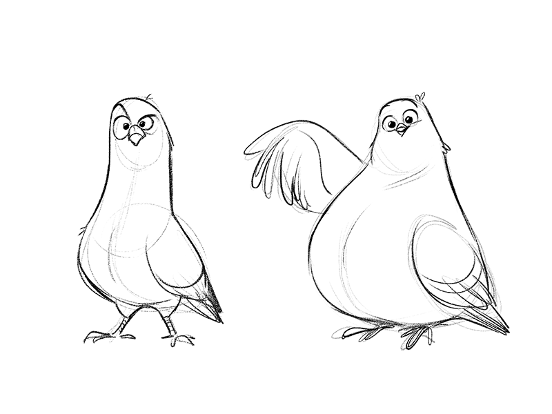 Coo - coo bird character concept cute feather pecker pigeon weird