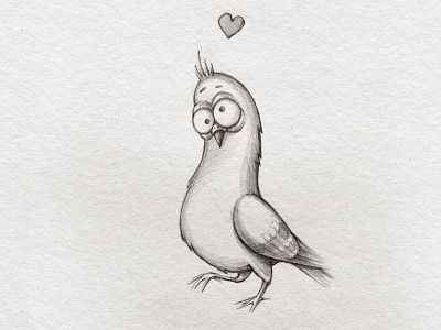 In love character dove in love love pigeon sketch