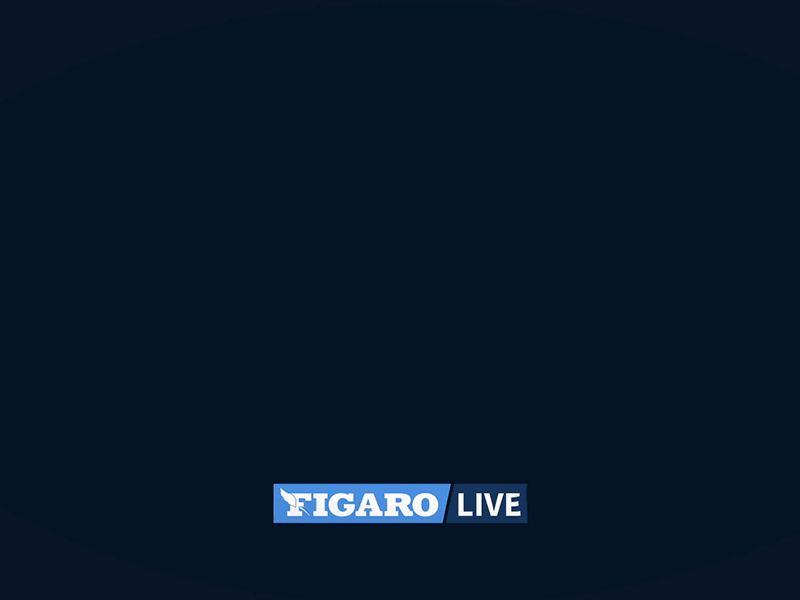 Figaro Live ae animated animation broadcast drop editorial feather figaro gif illustration live logo news newspaper smooth twirl video wind windy