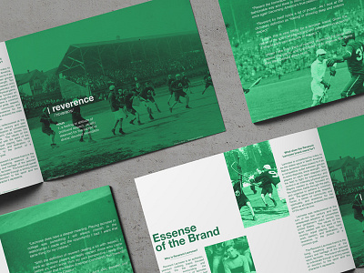 Brochure Layout brochure green lacrosse layout overlay print print design sport