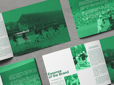 Brochure Layout