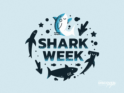 Shark Week | The Discover Project blue danny illustration ocean shark sharkweek texture underwater