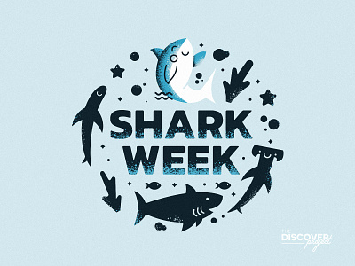 Shark Week | The Discover Project