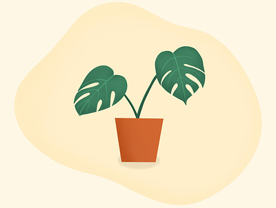 Monstera illustration digital illustration illustration monstera plant plant illustration procreate