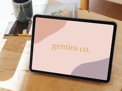 gemini co. branding concept branding concept design graphic design typography