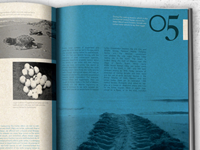 Riding Waves design editorial magazine spread type